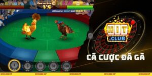 Cá Cược Đá Gà
