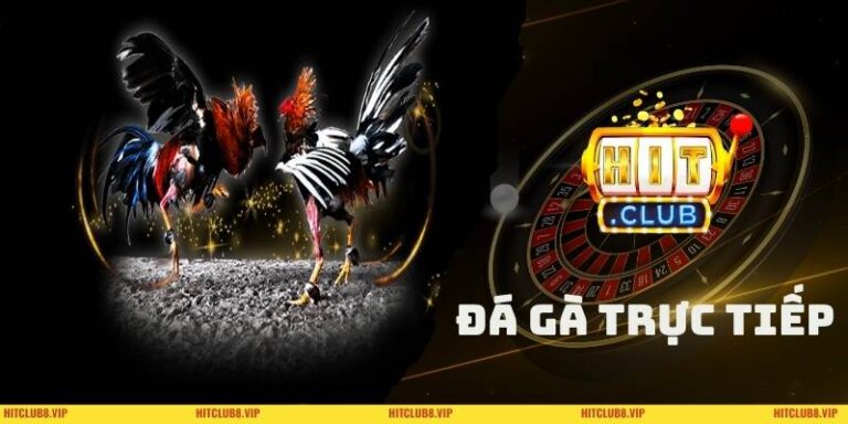 Đá gà trực tiếp online