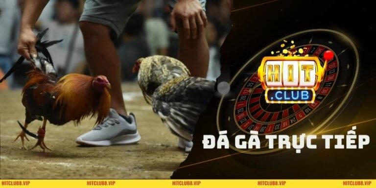 Đá Gà Trực Tiếp