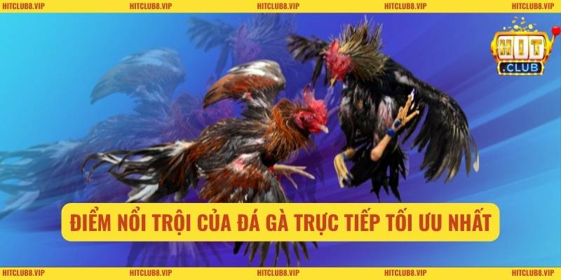 Điểm nổi trội của đá gà trực tiếp tối ưu nhất