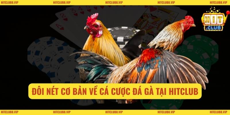 Đôi nét cơ bản về cá cược đá gà tại Hitclub