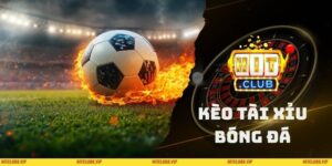 Kèo Tài Xỉu Bóng Đá