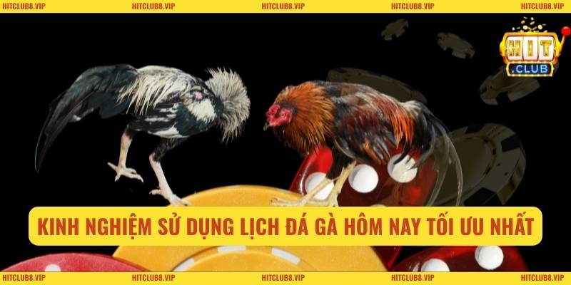 Kinh nghiệm sử dụng lịch đá gà hôm nay tối ưu nhất