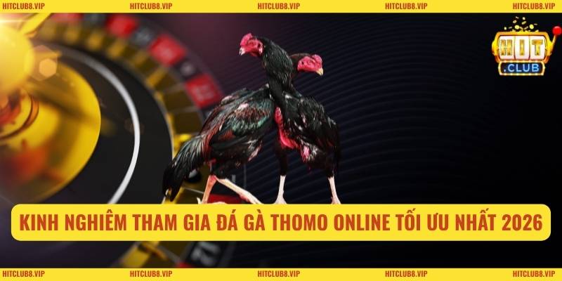 Kinh nghiêm tham gia đá gà thomo online tối ưu nhất 2026