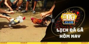 Lịch Đá Gà Hôm Nay