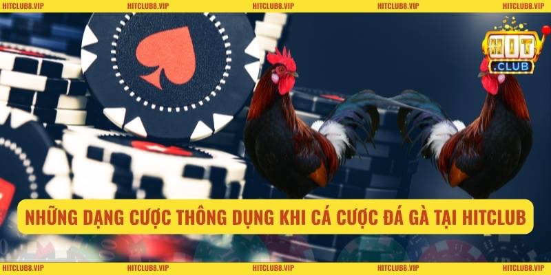 Những dạng cược thông dụng khi cá cược đá gà tại Hitclub