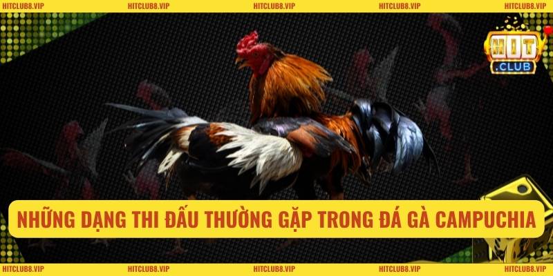 Những dạng thi đấu thường gặp trong đá gà campuchia