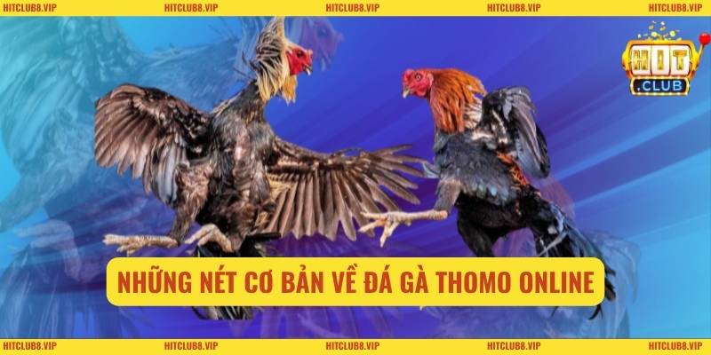Những nét cơ bản về đá gà thomo online