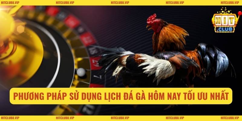 Phương pháp sử dụng lịch đá gà hôm nay tối ưu nhất