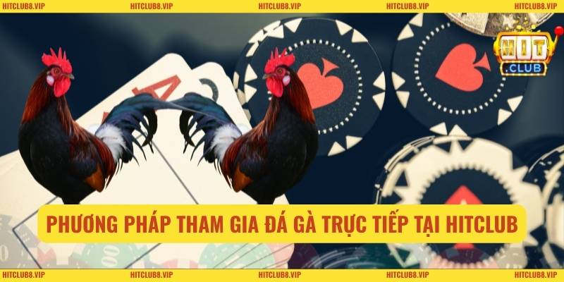 Đá Gà Trực Tiếp Online Tại Hitclub: Theo Dõi Chuẩn Nét 3 Phương pháp tham gia đá gà trực tiếp online tại Hitclub