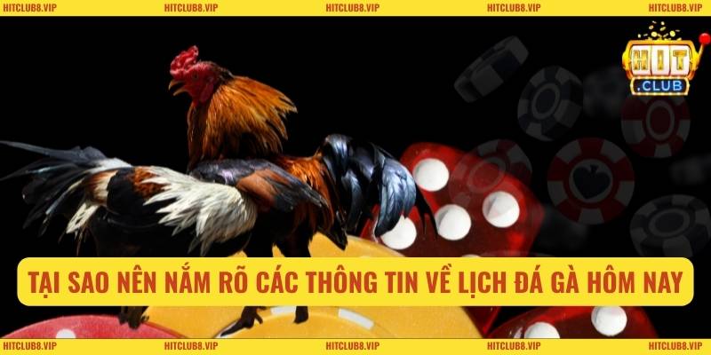 Tại sao nên nắm rõ các thông tin về lịch đá gà hôm nay
