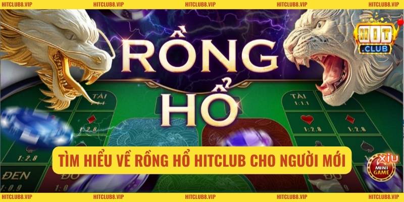 Tìm hiểu về rồng hổ HITCLUB cho người mới