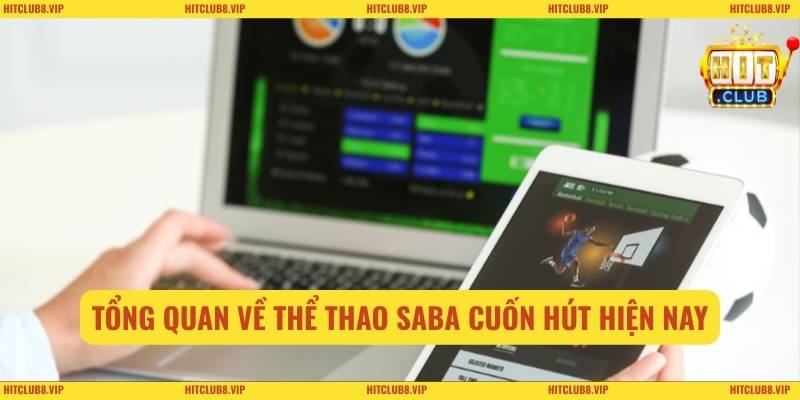 Tổng quan về thể thao SABA cuốn hút hiện nay