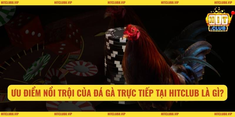 Đá Gà Trực Tiếp Online Tại Hitclub: Theo Dõi Chuẩn Nét 1 Ưu điểm nổi trội của đá gà trực tiếp online tại Hitclub là gì?